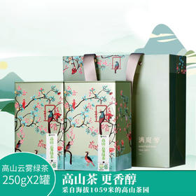 醒世茶业丨高山绿茶 四川高山云雾绿茶 500g（250g*2盒）