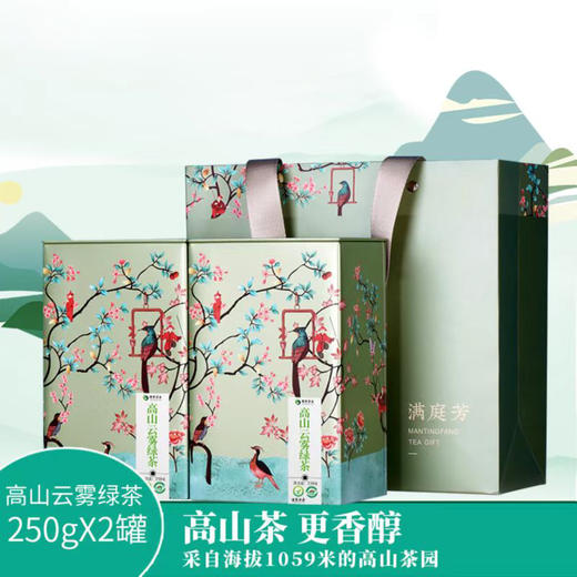 醒世茶业丨高山绿茶 四川高山云雾绿茶 500g（250g*2盒） 商品图0