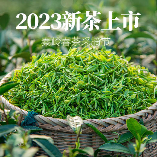 【宁商协作】 山阳县 山阳高山绿茶扁形茶50g/袋 商品图0
