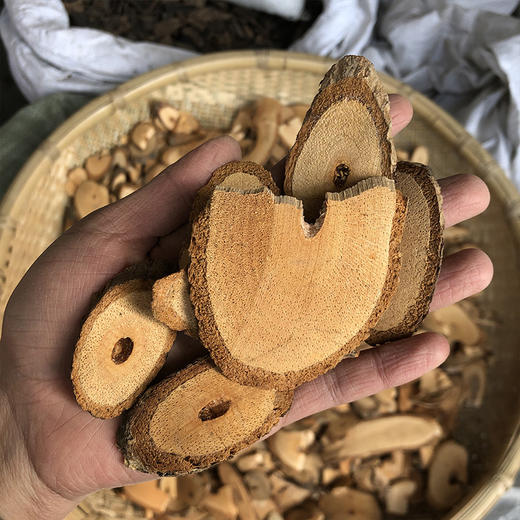 藤梨根  猕猴桃根 商品图3