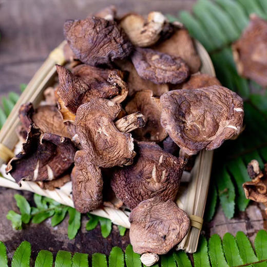 【秦岭野生干香菇500g】秦岭大巴山深处 自然生长日光晾晒 肉质肥厚细嫩 鲜香味美 商品图6