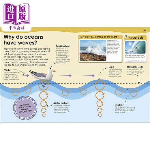 【中商原版】How Deep is the Ocean?DK海洋有多深 英文原版 进口图书 儿童科普绘本 科学百科知识图书 儿童百科全书 商品图2