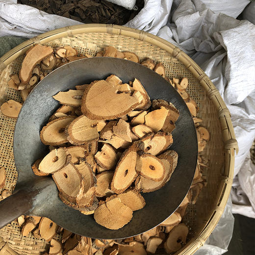 藤梨根  猕猴桃根 商品图4