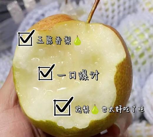 【秋贵妃·玉露香梨🍐】礼盒装8-9颗 /约6斤~✅含糖量高✅嫩到带皮啃✅松脆多汁✅入口化渣👍一口下去，你一定爱上它的美味，它的果‮含实‬水量达到90%，一口下去，汁水就迫‮及不‬待往外飚 商品图1