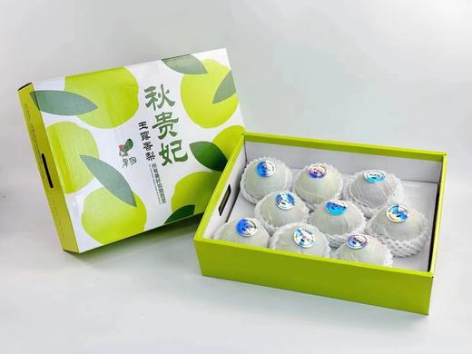 【秋贵妃·玉露香梨🍐】礼盒装8-9颗 /约6斤~✅含糖量高✅嫩到带皮啃✅松脆多汁✅入口化渣👍一口下去，你一定爱上它的美味，它的果‮含实‬水量达到90%，一口下去，汁水就迫‮及不‬待往外飚 商品图13