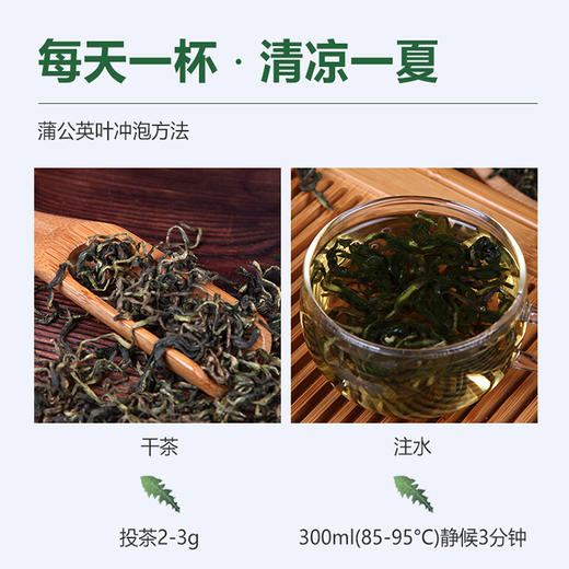蒲公英茶 45g/瓶*4瓶 商品图3