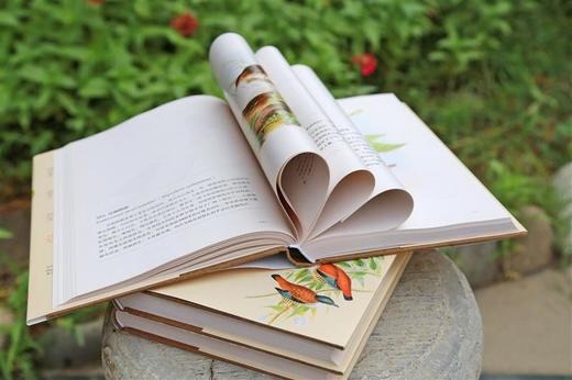 世界博物学经典图谱 亚洲鸟类 (上中下)精装 约翰古尔德 中国青年出版社自然科普手绘书籍 正品直发 商品图3