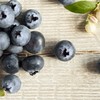 怡颗莓蓝莓125g（小果） 商品缩略图0