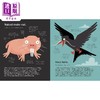 【中商原版】The World's Most Pointless Animals Or are They? 世上至没用的动物 或真如此吗？诙谐古怪 插图色彩丰富 动物知识绘本 商品缩略图3