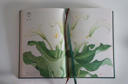 花开常沙娜笔下的花卉之美中国青年出版社手绘笔记书文化创意手账【出版社直发】官方正版 商品图2