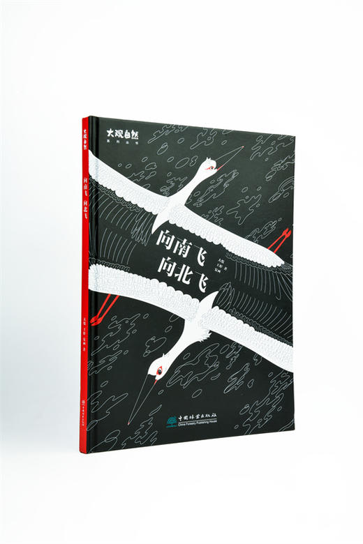 向南飞 向北飞 全年龄段科普绘本，讲述东方白鹳的湿地之旅，马建章院士作序推荐978-7-5219-1942-4 商品图0