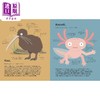 【中商原版】The World's Most Pointless Animals Or are They? 世上至没用的动物 或真如此吗？诙谐古怪 插图色彩丰富 动物知识绘本 商品缩略图4