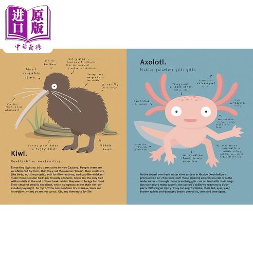【中商原版】The World's Most Pointless Animals Or are They? 世上至没用的动物 或真如此吗？诙谐古怪 插图色彩丰富 动物知识绘本 商品图4
