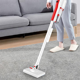 春花 洗拖一体机 CC-P2W