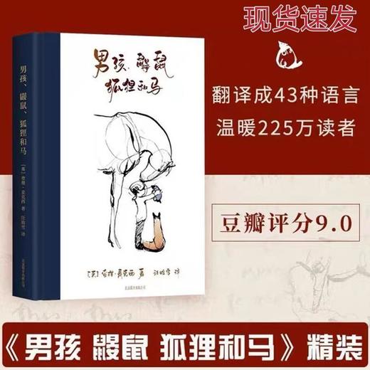 《男孩鼹鼠狐狸和马》查理 麦克西 著 樊登三川玲真情！当代《小王子》！温暖250万+读者！畅销书 外国文学 成人绘本 商品图0