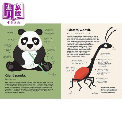【中商原版】The World's Most Pointless Animals Or are They? 世上至没用的动物 或真如此吗？诙谐古怪 插图色彩丰富 动物知识绘本 商品图2