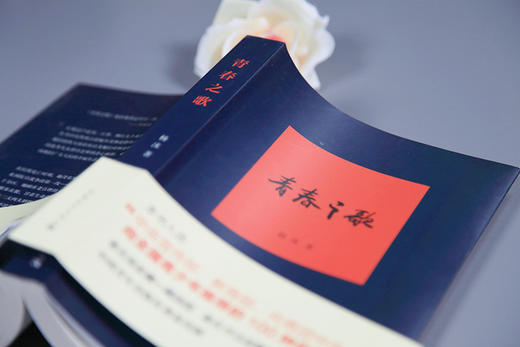 杨沫青春之歌中国青年出版社红色经典文学畅销书籍革命爱情林道静成长【出版社直发】官方正版 商品图2