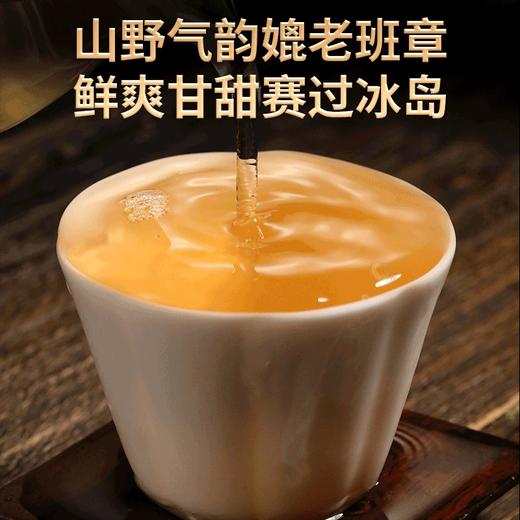 2023春茶 吉顺号古500蟒蛇箐古树普洱茶生茶七子饼茶茶叶357g 商品图4