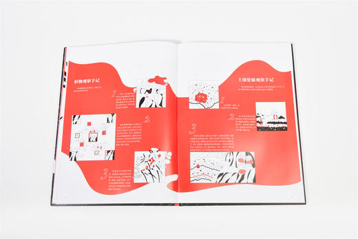 向南飞 向北飞 全年龄段科普绘本，讲述东方白鹳的湿地之旅，马建章院士作序推荐978-7-5219-1942-4 商品图2