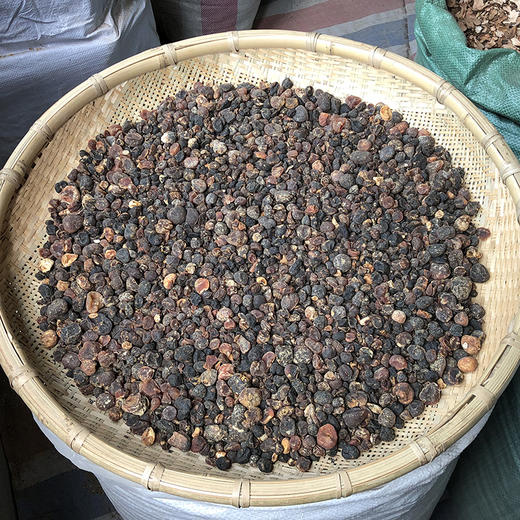 土贝母 商品图0