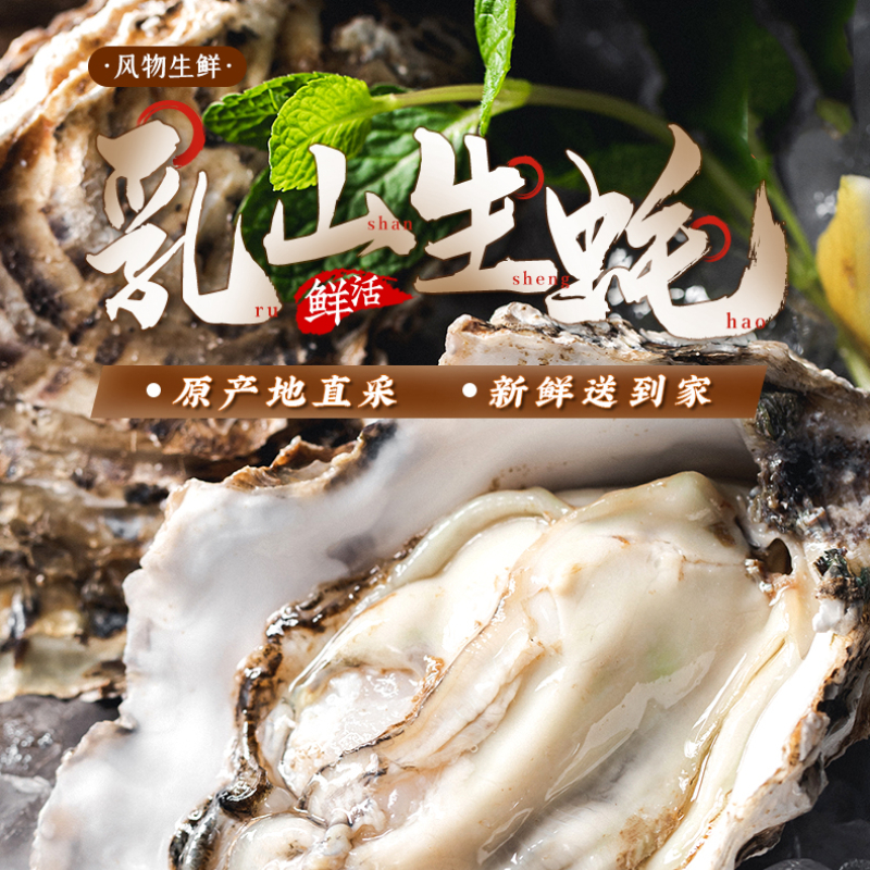 新鲜乳山生蚝 原产地直采 精选6两蚝王 丰腴肥美 入口嫩滑淡淡乳香