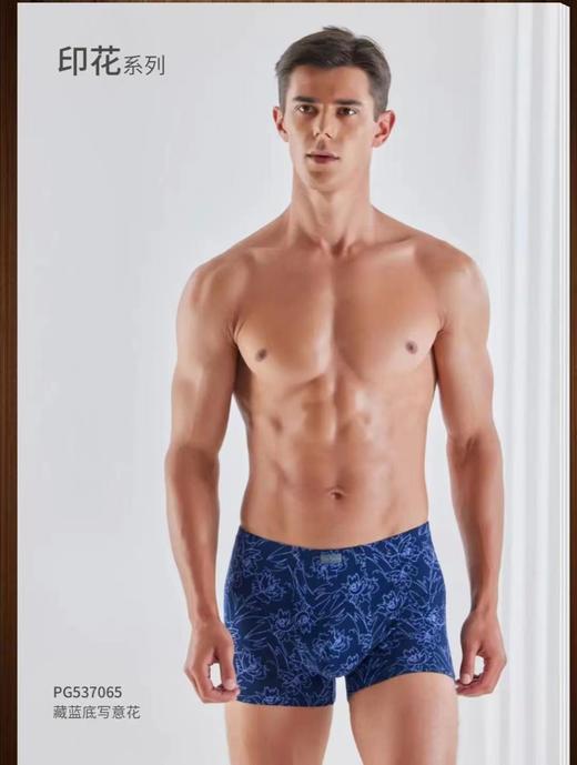 3f皮尔卡丹男内裤 商品图0