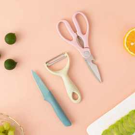 Debo德铂格里芬不锈钢水果刀套装削皮刀水果刀具剪刀三件套