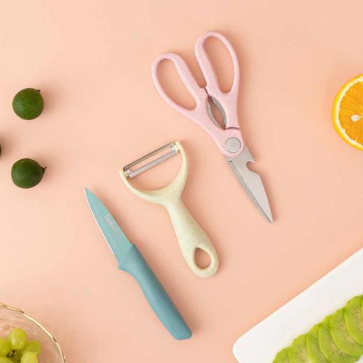 Debo德铂格里芬不锈钢水果刀套装削皮刀水果刀具剪刀三件套 商品图0