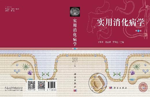 实用消化病学（第三版）于皆平 商品图3