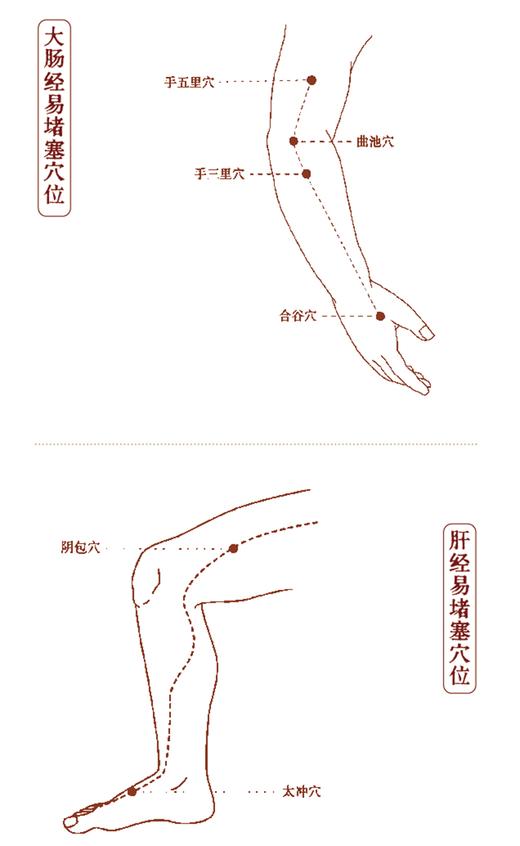 徒手通经络 通则不痛痛则不通 第2版 路新宇 赠作者示范经络保健按摩视频 经络堵点探查疏通视频 中国科学技术出版社9787504697936 商品图3