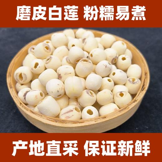 磨皮去芯无心白莲子 商品图0