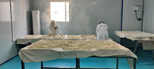 荆裕优选美豆渣100g霉豆渣 商品图7