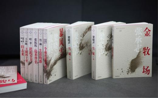 知青小说系列10本 今夜有暴风雪 蹉跎岁月 归去来 黑骏马 生活的路 方圆四十里 雪城 隐形伴侣金牧场 中国青年 商品图1