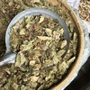 透骨草 云南透骨草 滇白珠树叶带杆 商品缩略图4