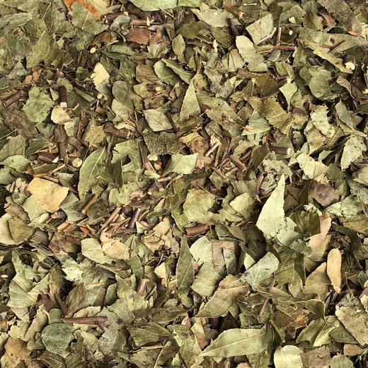 透骨草 云南透骨草 滇白珠树叶带杆 商品图2