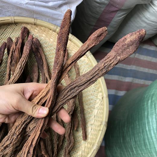 锁阳片  锁阳个子 整条锁阳 商品图4