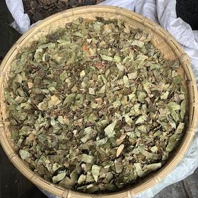 透骨草 云南透骨草 滇白珠树叶带杆