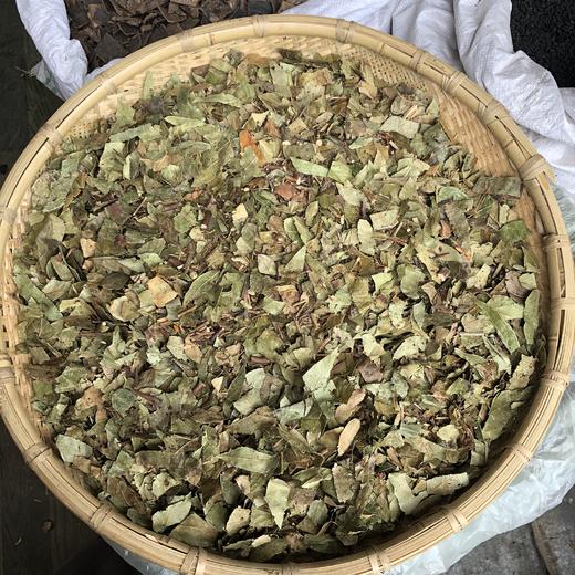 透骨草 云南透骨草 滇白珠树叶带杆 商品图0