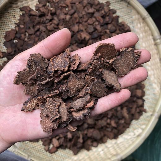 锁阳片  锁阳个子 整条锁阳 商品图2