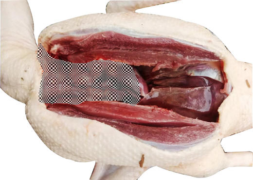 怀化生态放养2年老鸭新鲜宰杀（同城包邮） 商品图2