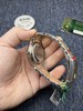 劳力士EW日志型41系列 间金钻面 男士机械腕表 商品缩略图5