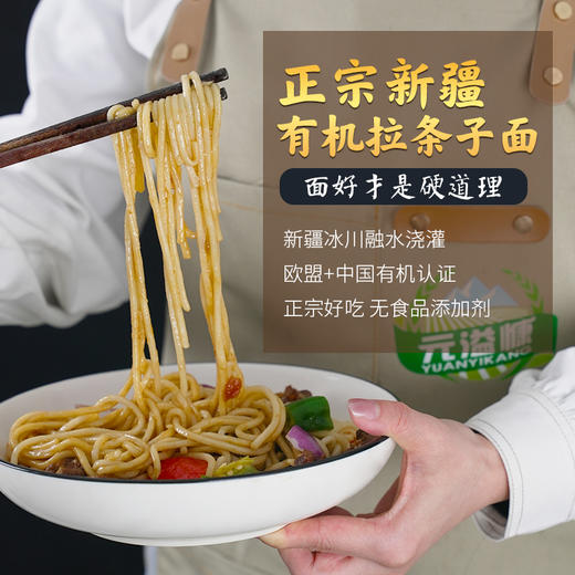 新疆有机拉条子 圆条拉面炒面拌面劲道筋道不坨390g 商品图1