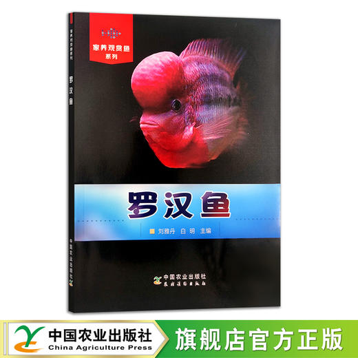 家养观赏鱼系列：罗汉鱼(17288)  锦鲤(17313) 小型热带鱼(30195) 养鱼 鱼缸 商品图2