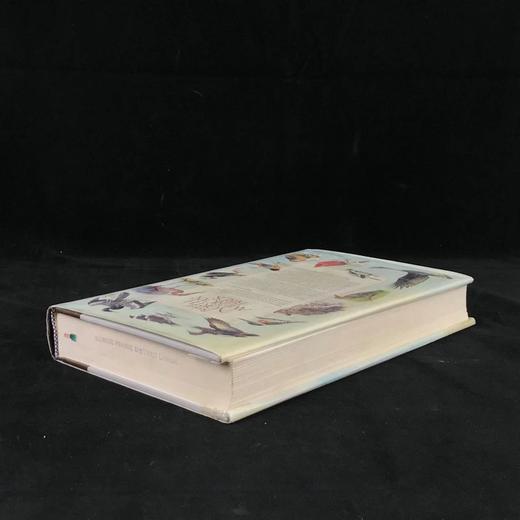 北美鸟类图鉴 数百幅彩色插图 精装16开 商品图2