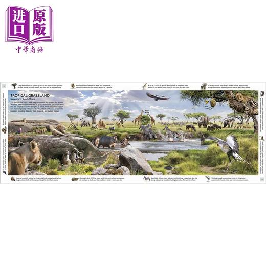【中商原版】Habitats of the World DK世界栖息地 英文原版 进口图书 儿童科普绘本 自然百科知识图书 商品图4
