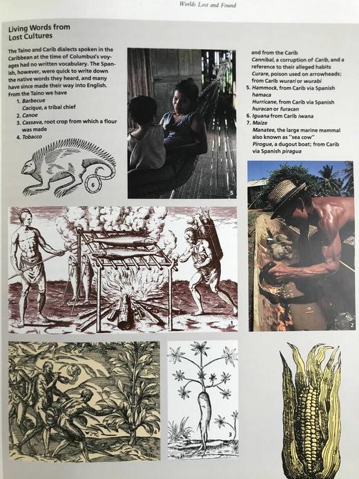 哥伦布与大发现时代 数百幅插图 精装16开 商品图11