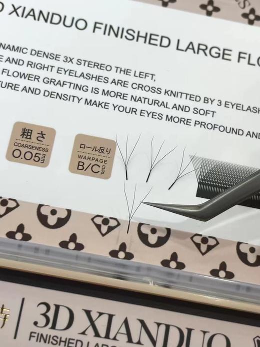 【秒杀价】大花三叶草 商品图2