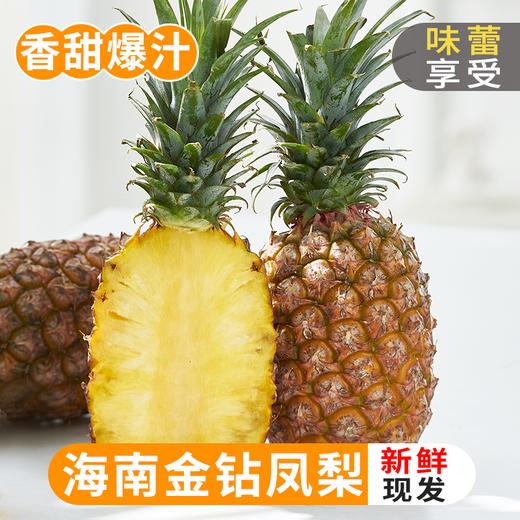 【产地直发包邮】听甜—海南金钻凤梨（树上熟） 商品图2