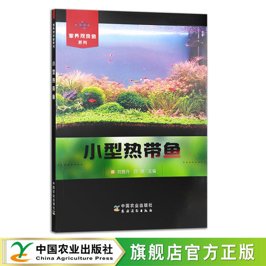 家养观赏鱼系列：罗汉鱼(17288)  锦鲤(17313) 小型热带鱼(30195) 养鱼 鱼缸 商品图0