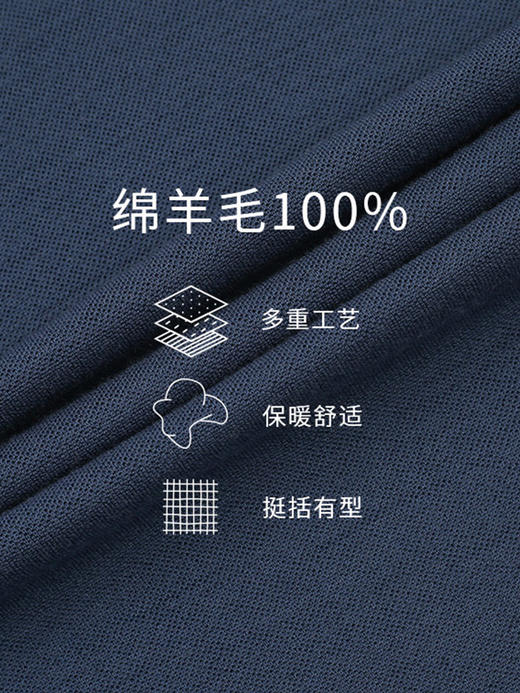 callisto灰蓝超细羊毛翻领T恤 SRTSS116C 商品图4